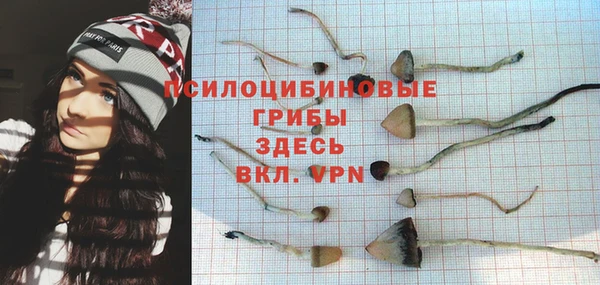 кокаин премиум Белокуриха